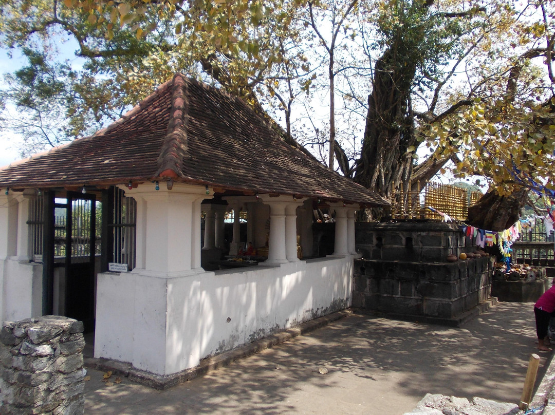Temple of the Gadaladenia景点图片