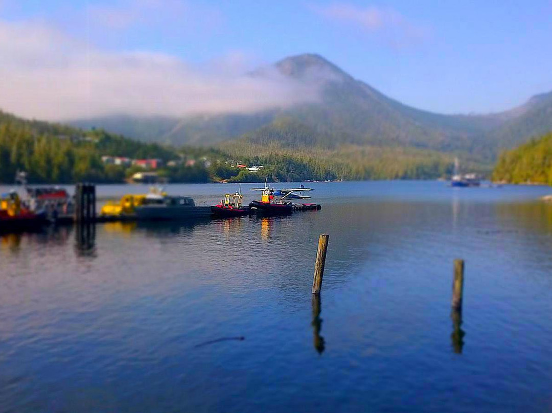 Pat Bay Air Floatplane Tours景点图片