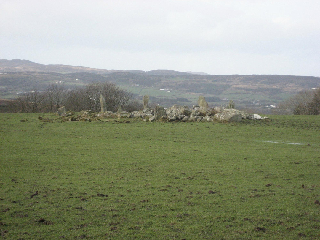 Bocan Stone Circle景点图片