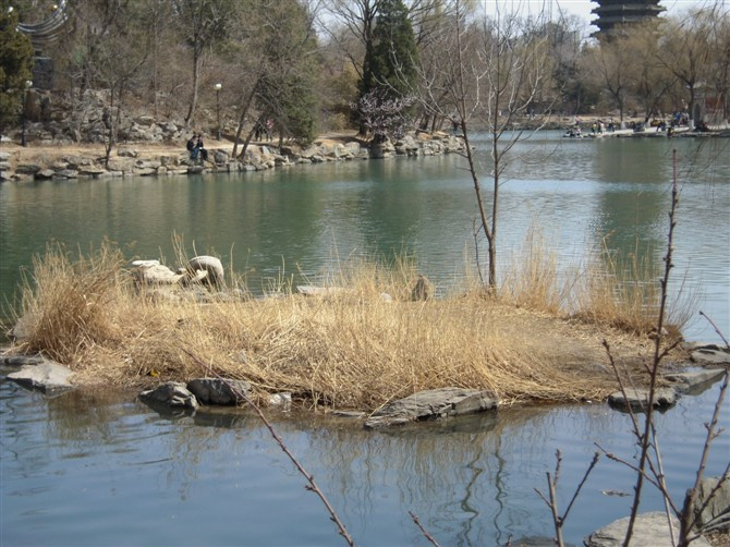 北京大学-北京市必去景点