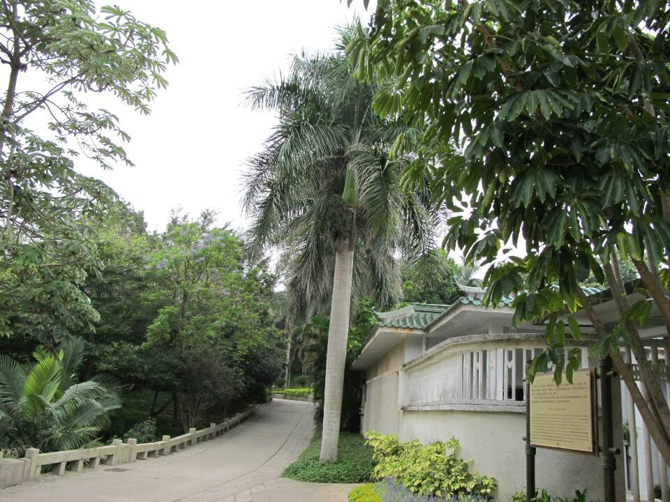厦门园林植物园景点图片