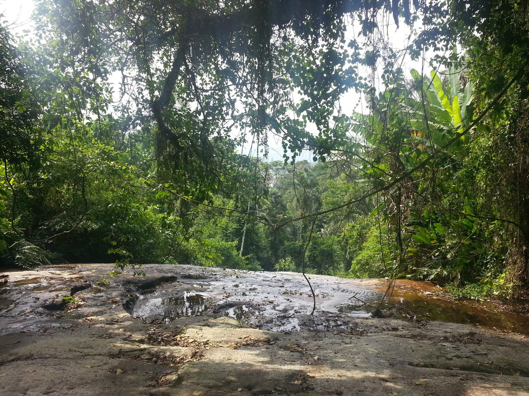 Parque Estadual de Ilhabela-伊利亚贝拉必去景点