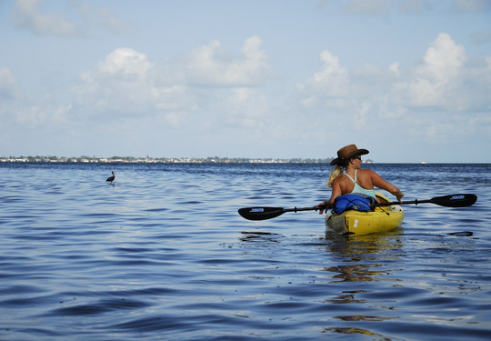 Biotica EcoTours - Day Tours-萨拉索塔必去景点