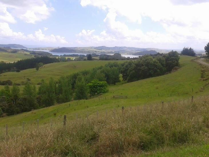 Tapora旅游攻略图片