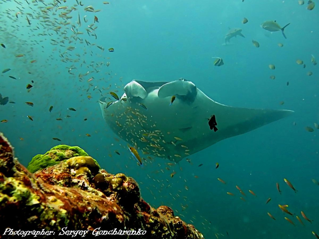 OK Club Diving Center-兰塔岛必去景点