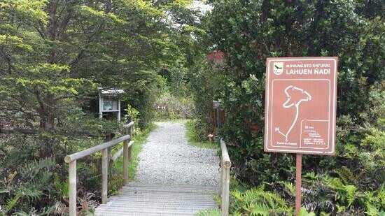 Monumento Natural Lahuen Nadi-蒙特港必去景点