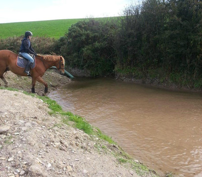 Lucky Meadows Equestrian Centre