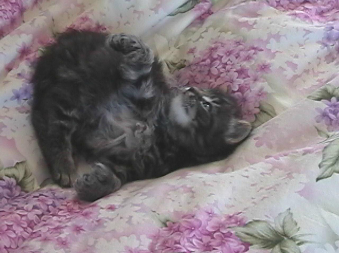 Best Kept Secret B & B主图