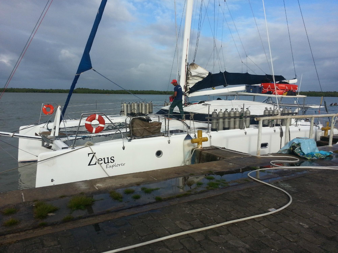 Parque Nacional Marinho dos Abrolhos-Caravelas必去景点