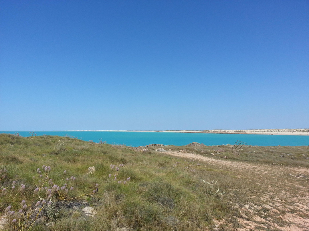 Cape Keraudren Nature Reserve-Port Hedland必去景点
