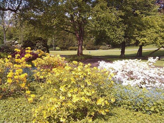 Botanischer Garten景点图片