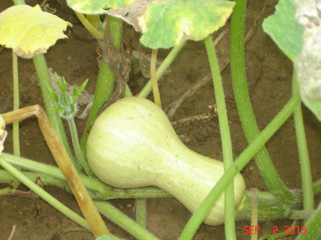 Callahan State Park-弗雷明汉必去景点