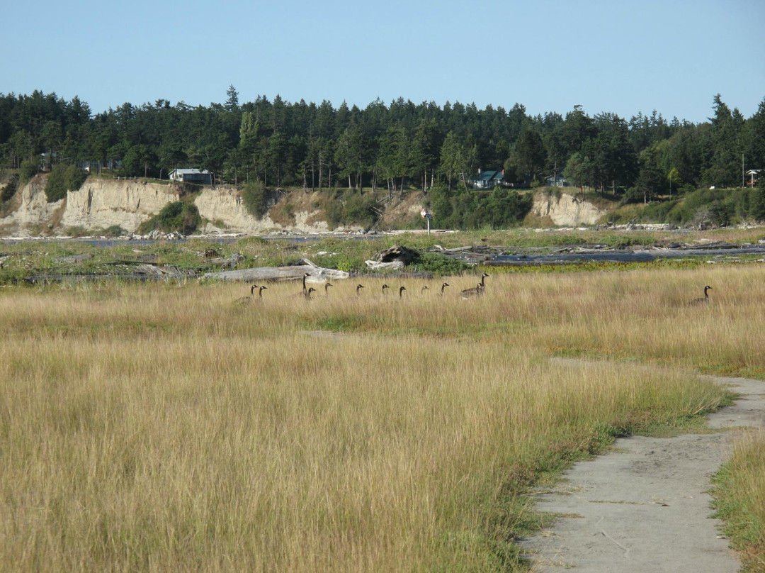 Spencer Spit State Park景点图片