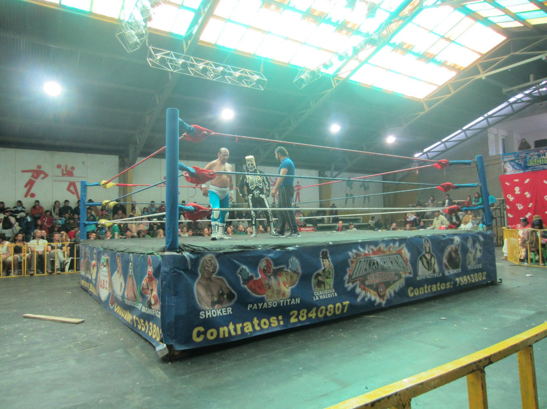 Cholitas Wrestling-拉巴斯必去景点