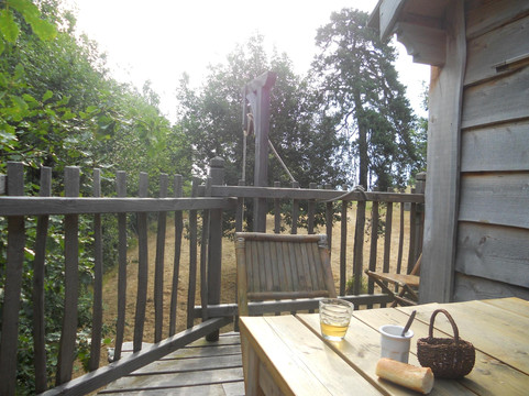 Dance旅游攻略图片