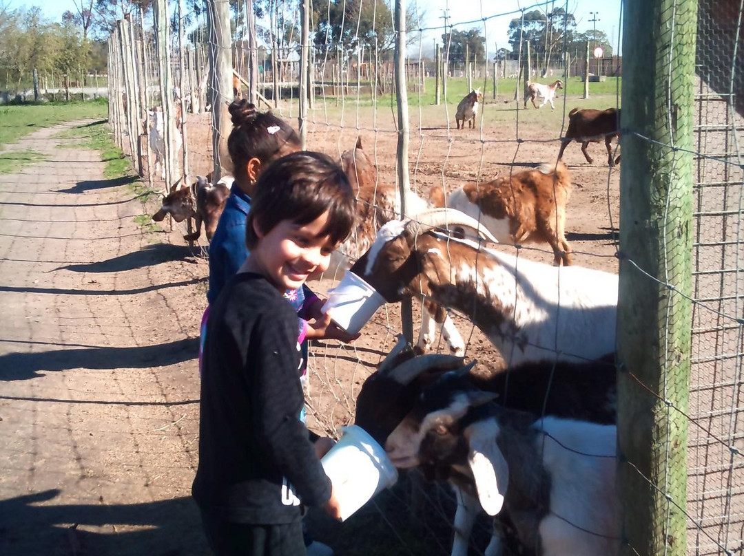 Giraffe House Wildlife Awareness Centre-斯泰伦博斯必去景点