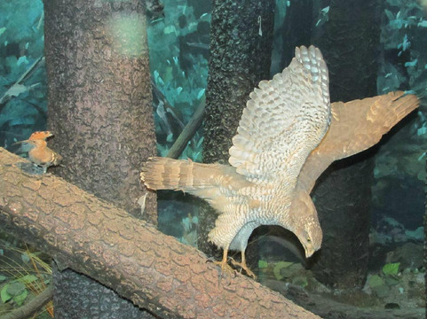 长春地质宫博物馆-长春市必去景点