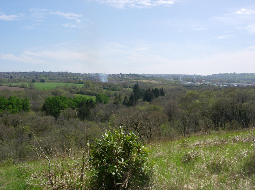 Penllergare Valley Woods景点图片