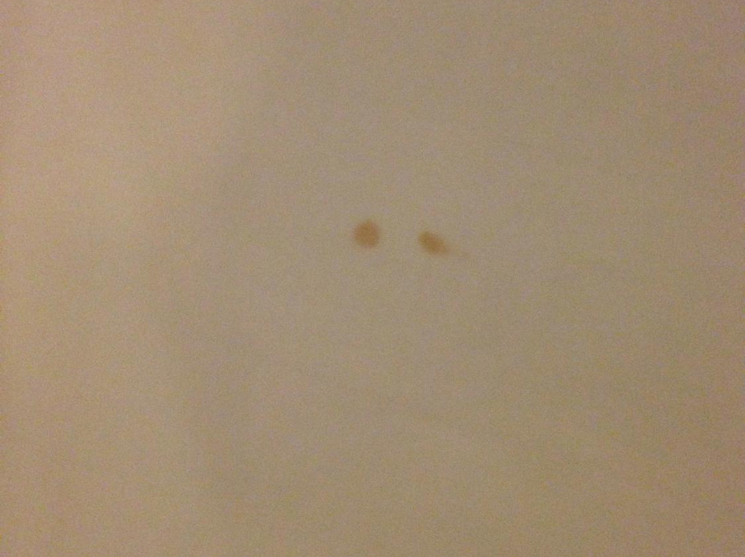 东方明珠大酒店主图