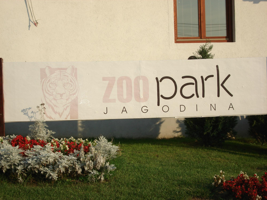 Zoo vrt Tigar景点图片