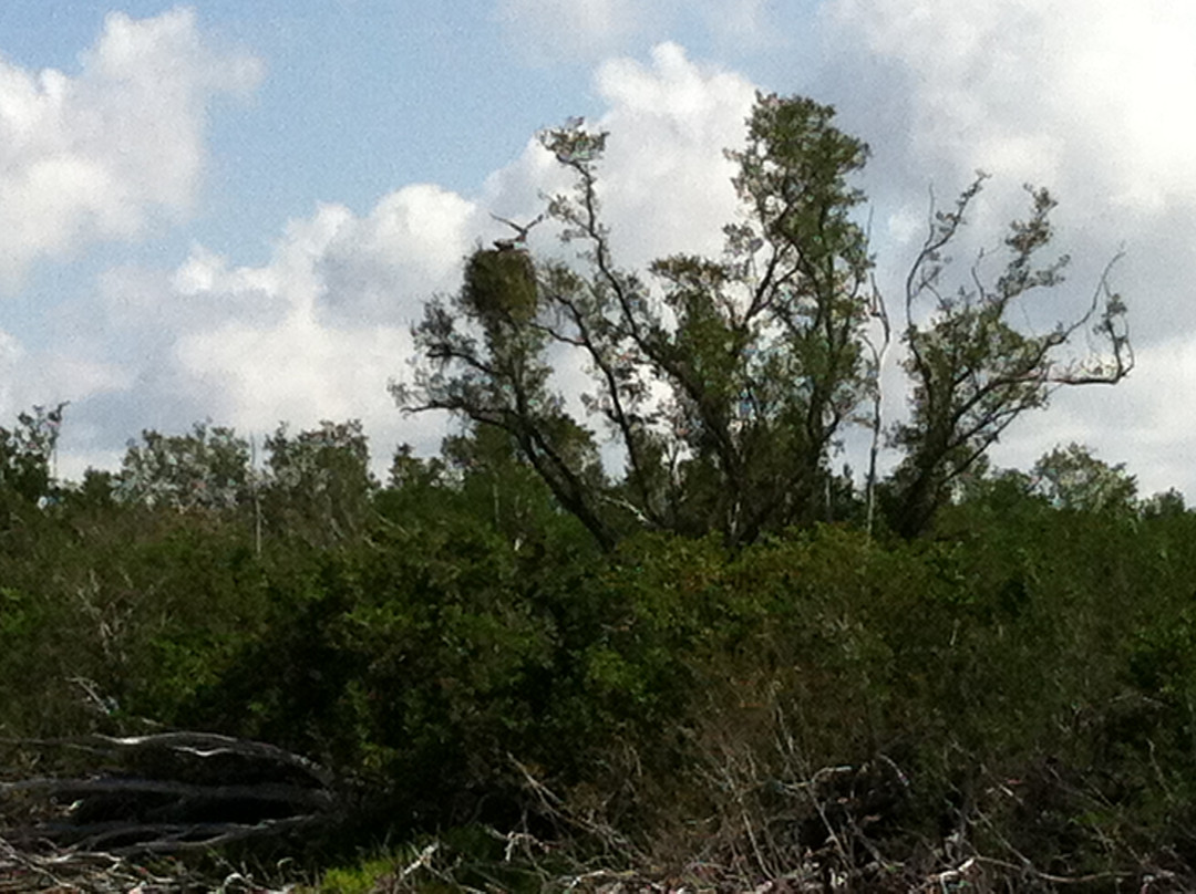 Eco Pond-大沼泽国家公园必去景点
