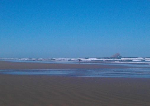 Sand Safaris Cape Reinga 90 Mile Beach Tours-凯塔亚必去景点