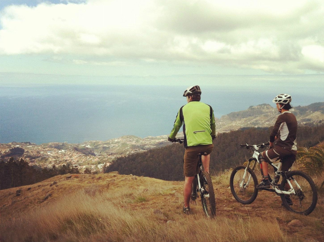 Lokoloko - Mountain Bike & Outdoor Tours-Canico必去景点