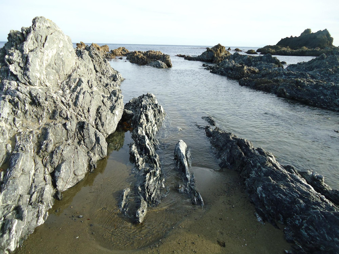 Princess Bay-惠灵顿必去景点