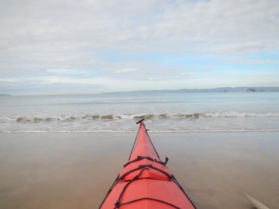 Bay and Beyond Sea Kayak Tours景点图片