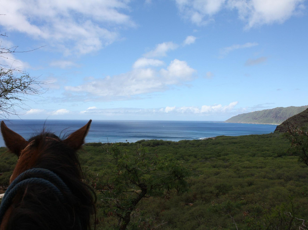 Makaha Valley Riding Stables-瓦胡岛必去景点