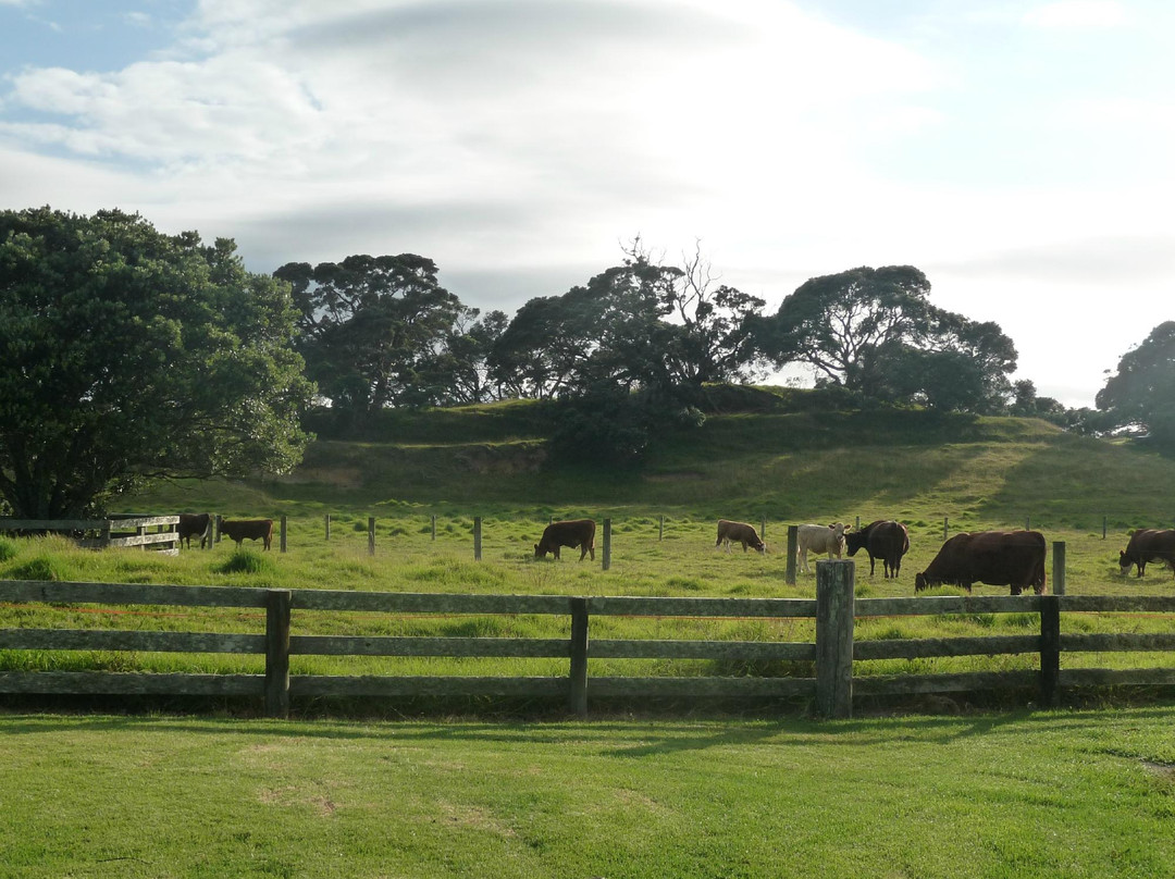 The Stonehouse主图