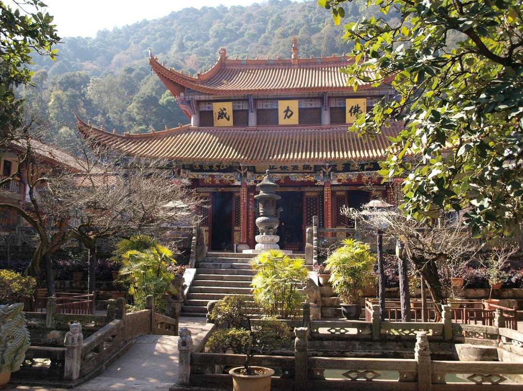 昆明西山森林公园景点图片