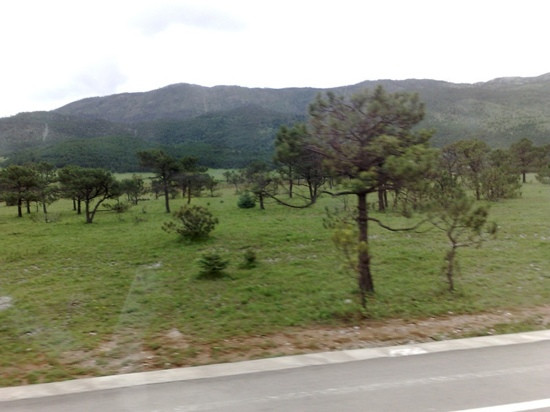 甘海子国家森林公园-九寨沟县必去景点