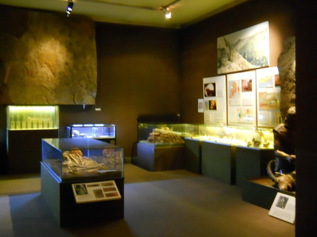 Musee de Prehistoire Regionale-芒通必去景点