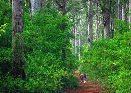 Pemberton Discovery Tours-彭伯顿必去景点