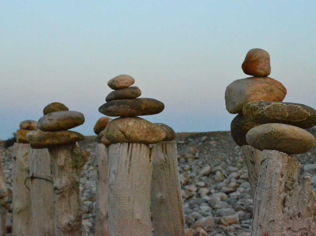 La Provence de Claire Tours-阿维尼翁必去景点