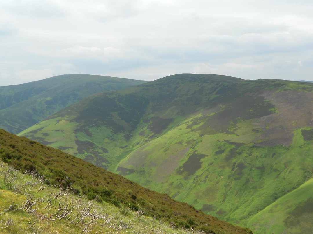 Culter Fell景点图片