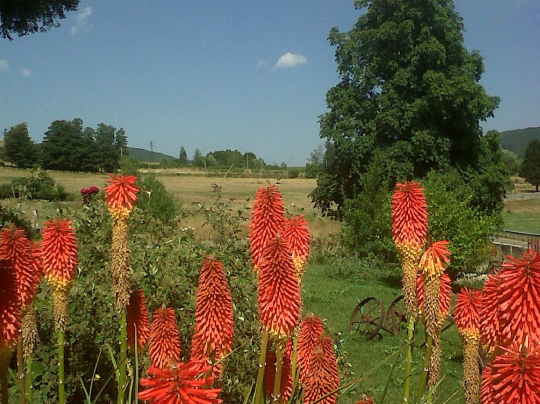 Parenti旅游攻略图片