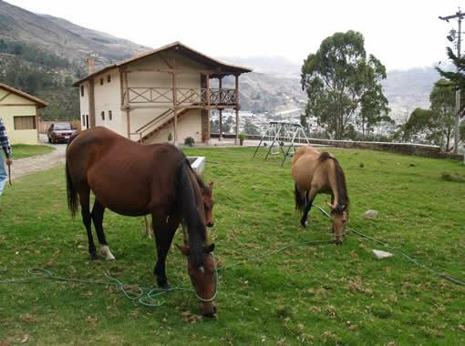 Hosteria Pircapamba主图