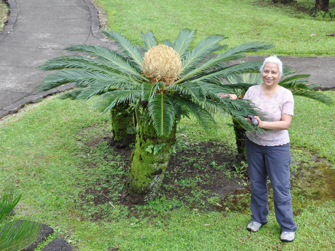 莉莉乌卡拉尼公园-希洛必去景点