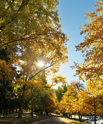 皇后镇花园景点门票图片