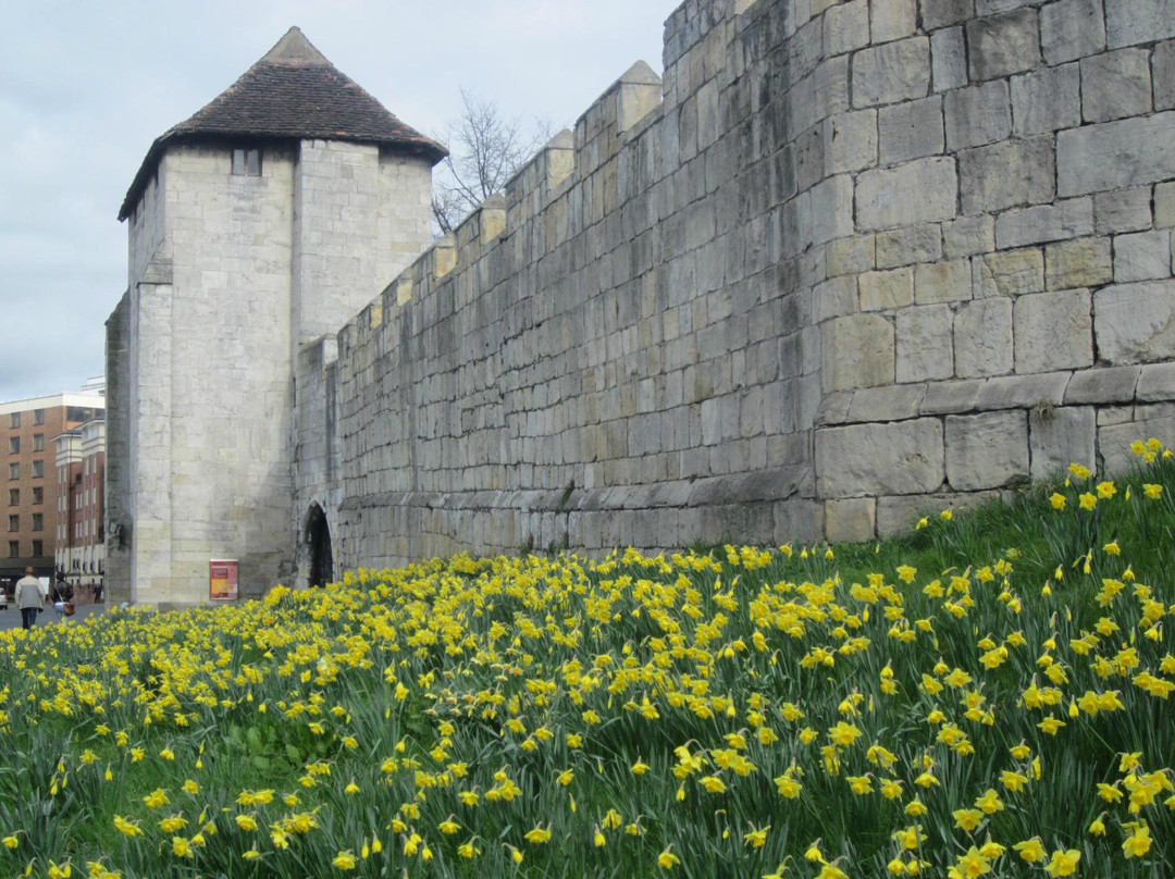 Descubre York Tours-约克必去景点