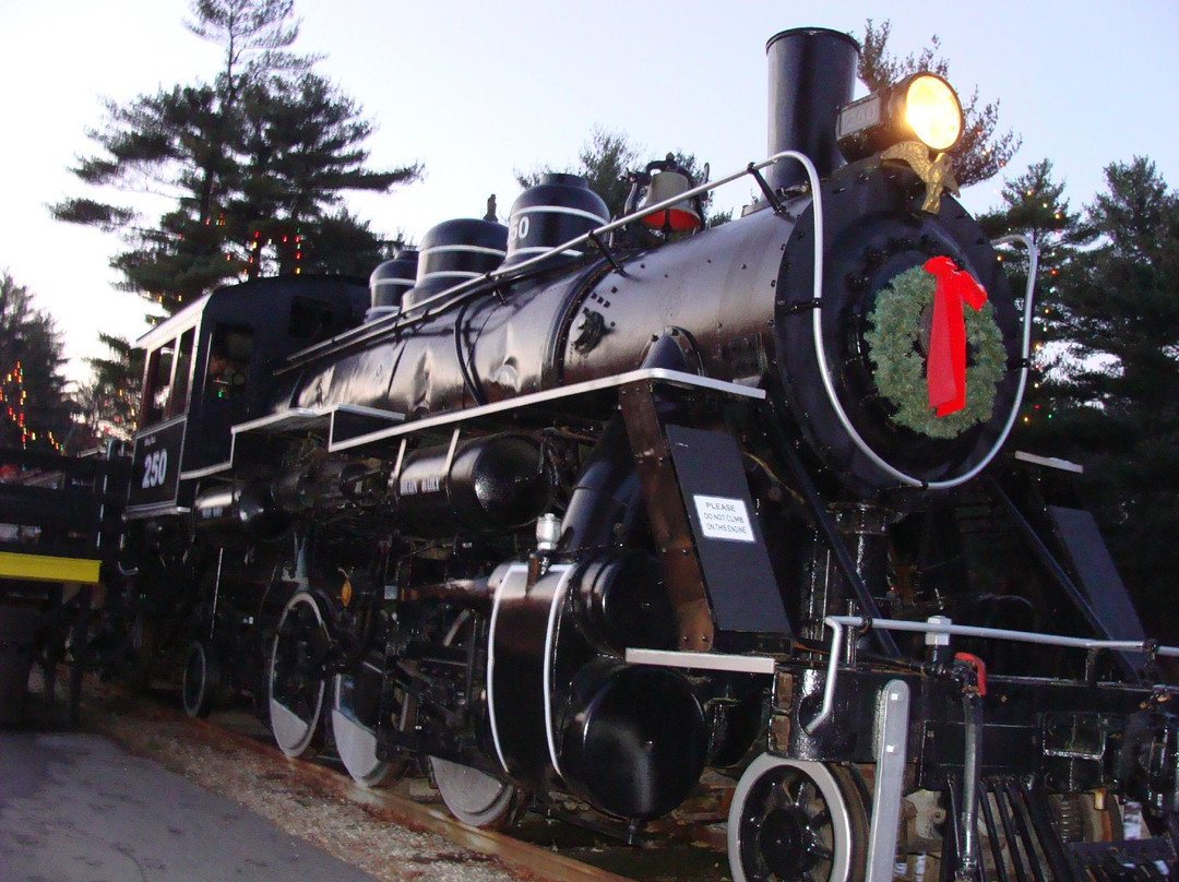 Edaville Holiday Festival of Lights-Carver必去景点