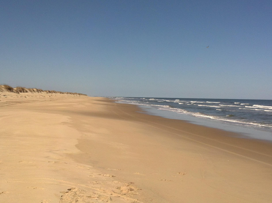 False Cape State Park-弗吉尼亚海滩必去景点