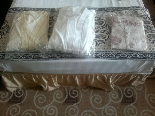 日月大酒店主图