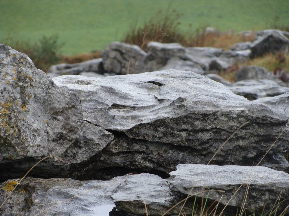 Burren Wild Tours景点图片