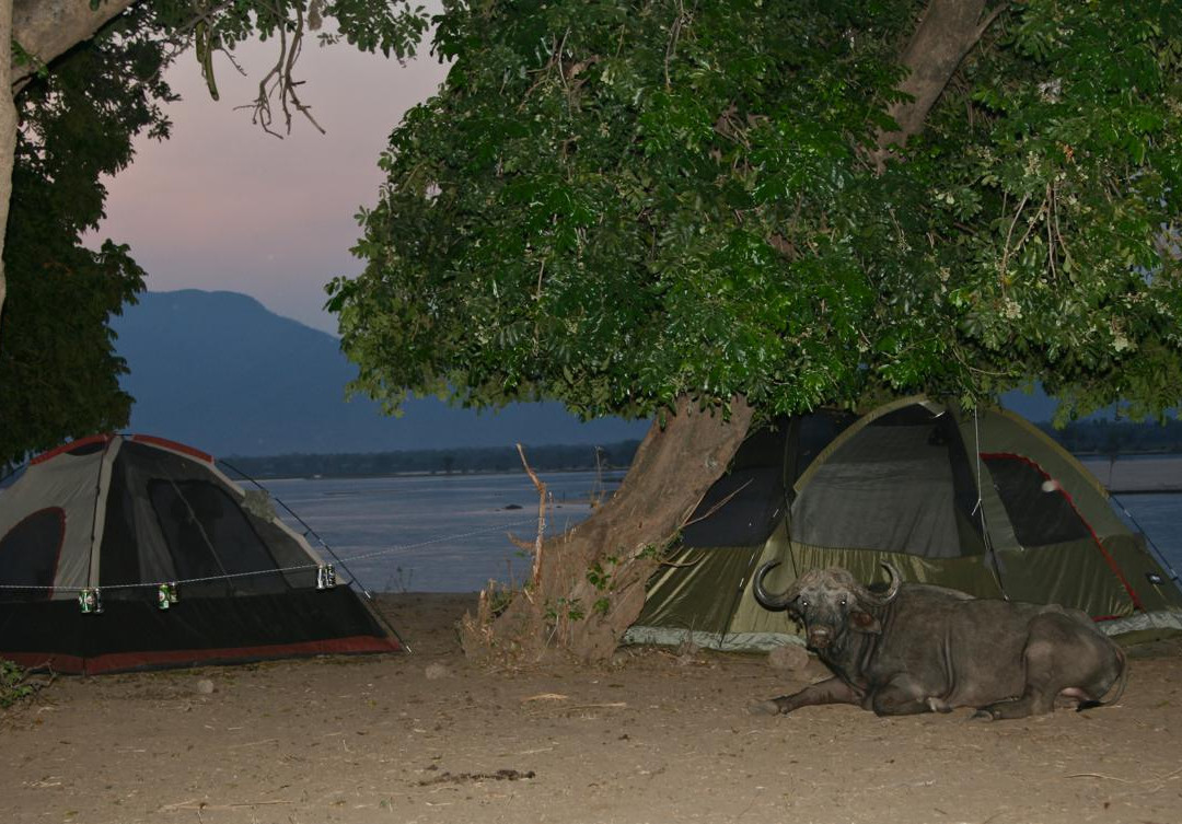 Camping Sites at Mana Pools National Park景点图片