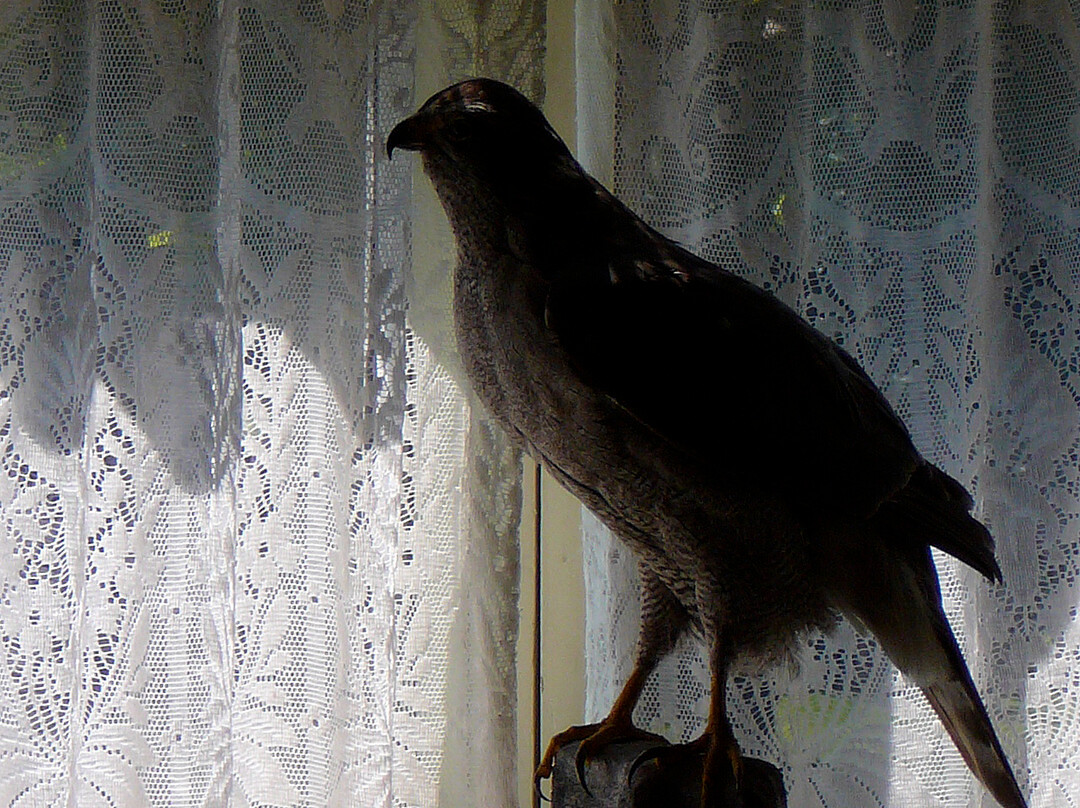 Conrad Mansion-卡利斯佩尔必去景点