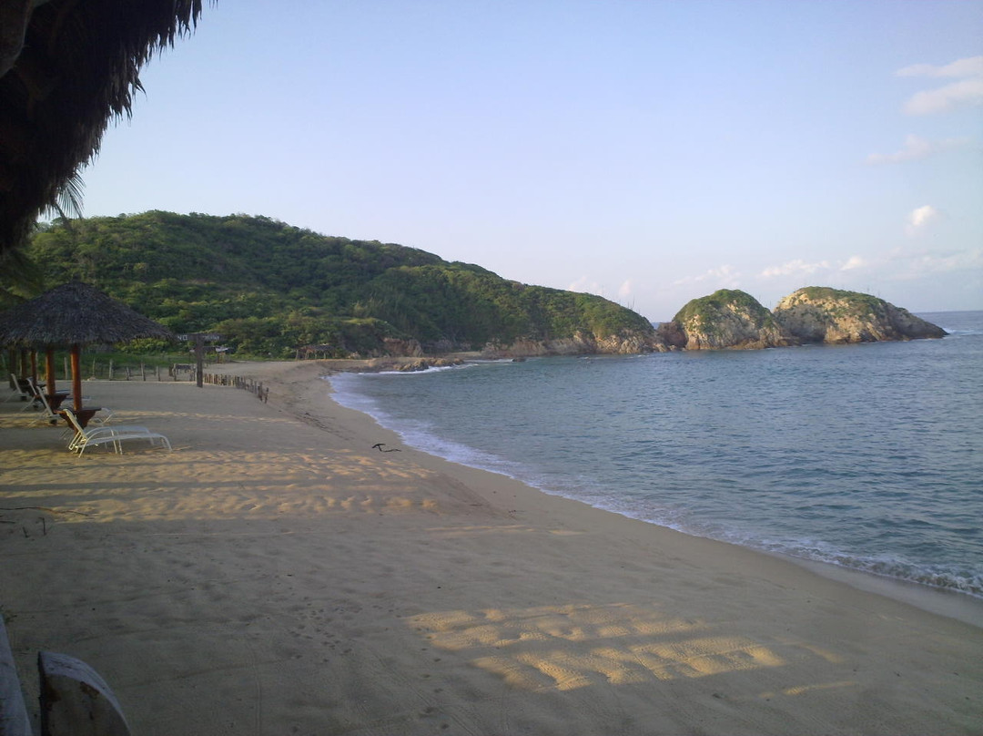 Mayto旅游攻略图片