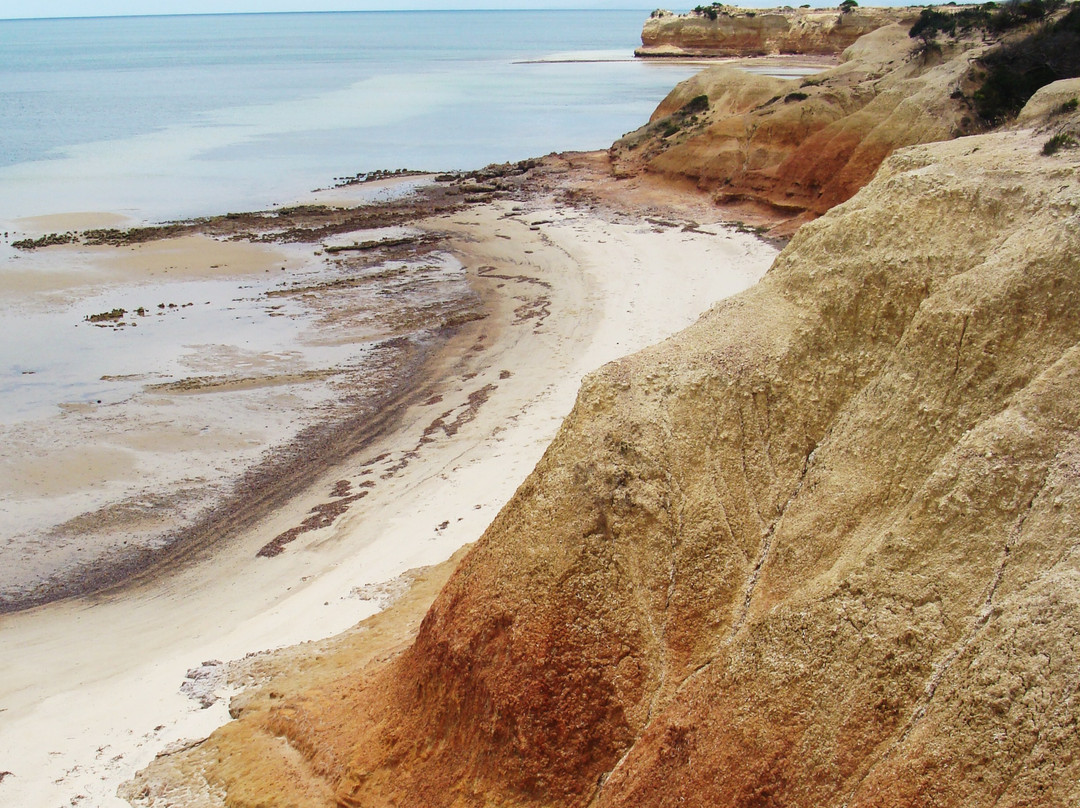 Cruising Kangaroo Island Kayak Tours-American River必去景点